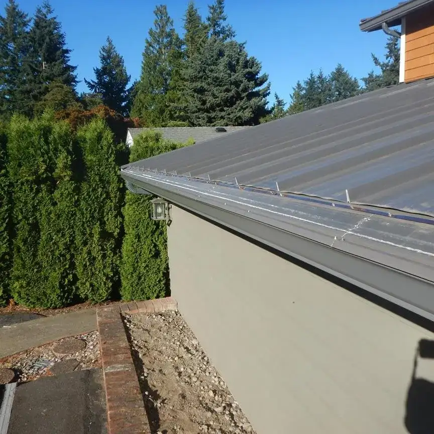 Bellevue Wa Bush Leaflessgutter™ Shield Master